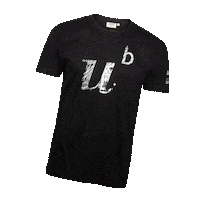 Unibern Sticker by University of Bern