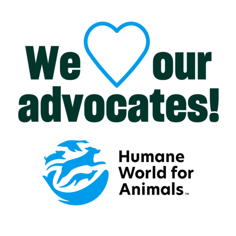Humaneworld Sticker by Humane World for Animals