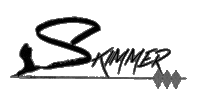 Skimmermusic Sticker by Skimmer Studios