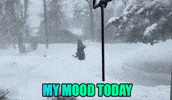 I Love Winter GIF by Linda Rey & Trevor