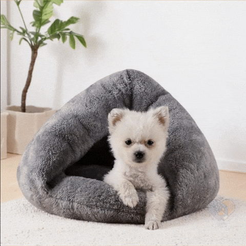 Chien dans sa Niche Nid Secret™