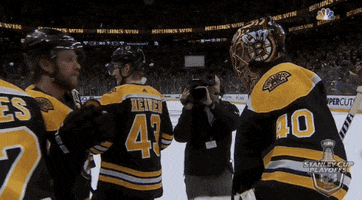 ice hockey hug GIF by NHL