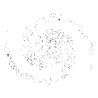 Black Hole Spinning Sticker by Dark Star Brewing Co.
