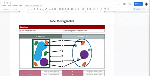 teacheremacdonald giphyupload GIF