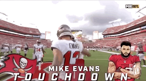Tampa Bay Buccaneers Football GIF by NFL