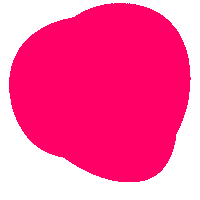 Art Color Sticker by Museumszeit.ch