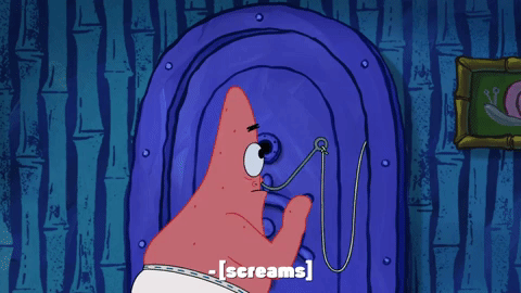 season 9 GIF by SpongeBob SquarePants