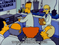 Season 3 Episode 10 GIF by The Simpsons