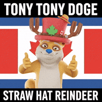 Happy One Piece GIF by Doge Pound