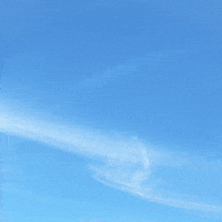 Top Ok GIF by ITA Airways