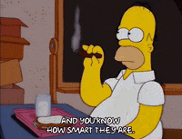 homer simpson GIF
