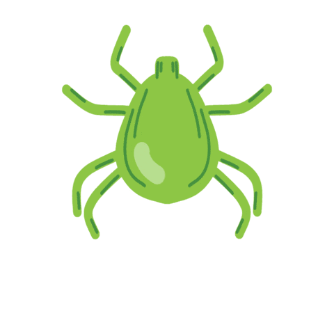 LymeNow tick lyme lyme disease ticks Sticker