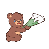 Teddy Bear Money Sticker by BEARISH