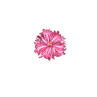 Flower Sticker
