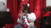 Christmas Tree Reaction GIF by Robert E Blackmon
