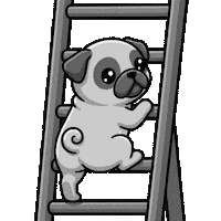 Dog Loop Sticker by Pugs