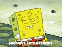 season 8 episode 3 GIF by SpongeBob SquarePants