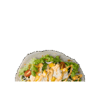 Souperstarsg popiah asian burrito chicken popiah sweet thai chicken popiah Sticker