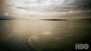 Jude Law GIF by HBO