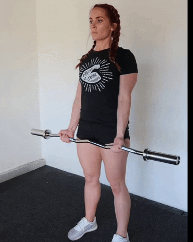 megsquats giphyupload GIF