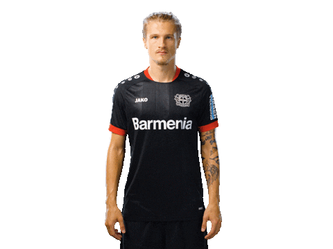 Bayer 04 Werkself Sticker by Bayer 04 Leverkusen