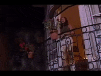 Telenovela GIF