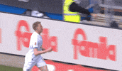 Football Goal GIF by Holstein Kiel