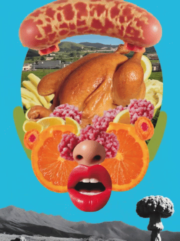 Poulet d'élevage