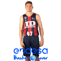 EndesaBasketLover flex vamos baskonia artus Sticker