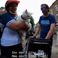 Hiss GIF