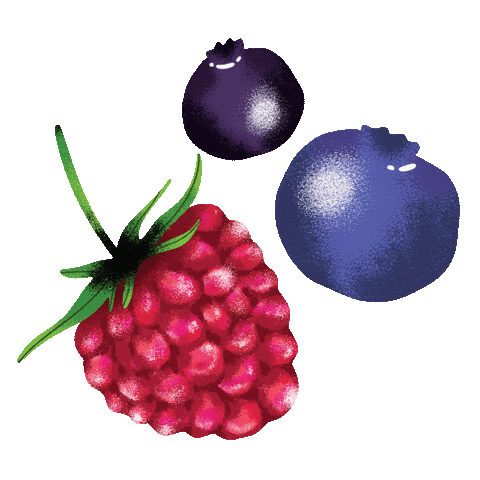 Summer Fruit Sticker by DeeBee's Organics