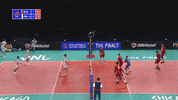 GIF by Volleyball World