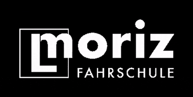 morizfahrschule fahrschule drivingschool möriz morizfahrschule GIF