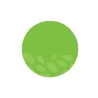 Vegan Sticker by Boldy Yemek ve Market