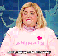 aidy bryant television GIF by Saturday Night Live