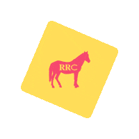 Show Jumping Horse Sticker by RRC