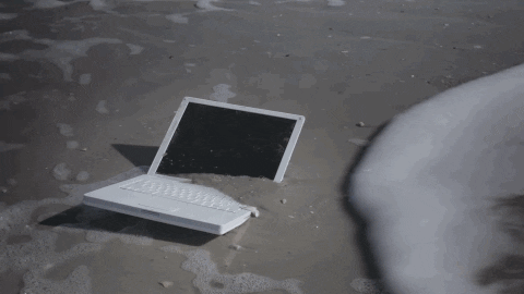 anerkjendt giphyupload GIF