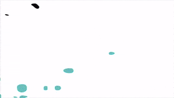 Transition animation pack creator for video edits