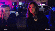 Episode 11 Nbc GIF by Law & Order