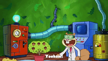 season 9 episode 23 GIF by SpongeBob SquarePants