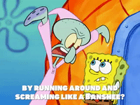 season 6 GIF by SpongeBob SquarePants