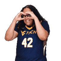 Womens Basketball Sticker by WVU Tech Golden Bears