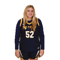 Womens Basketball Sticker by WVU Tech Golden Bears