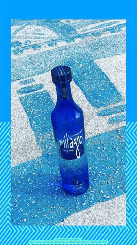 Celebrate Mexico City GIF by Milagro Tequila