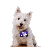 Real Estate Sticker by Plum Property