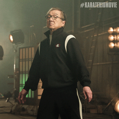 Jackie Chan Karate GIF by Sony Pictures
