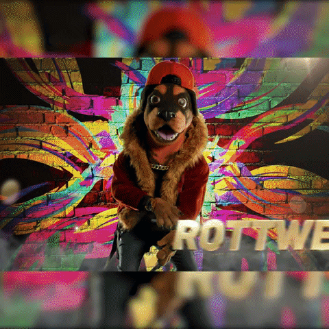 Fox GIF by The Masked Singer