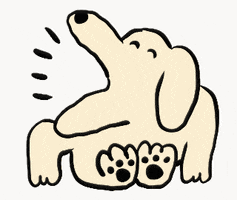 yuukikikuchi kikuchi GIF