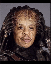 Jay Z Island GIF