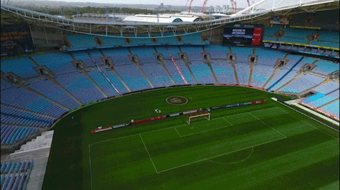 wswanderersfc giphyupload reaction football wanderers GIF